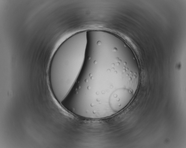 X0000091001432200708021215