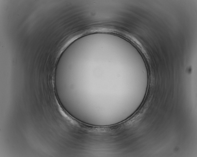 X0000091001433200708021215