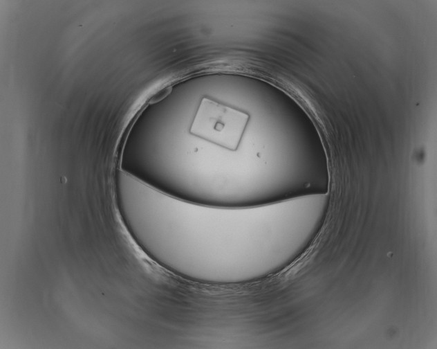 X0000091001434200708021215