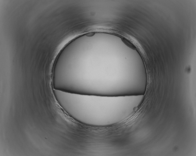 X0000091001435200708021215