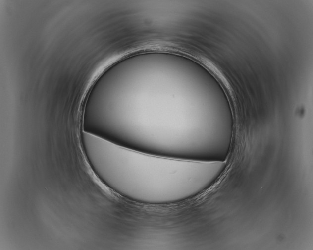 X0000091001437200708021215