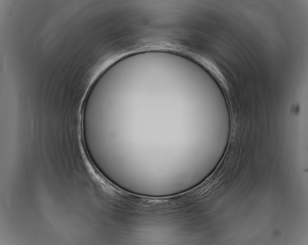 X0000091001439200708021215