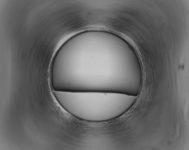 X0000091001440200708021215