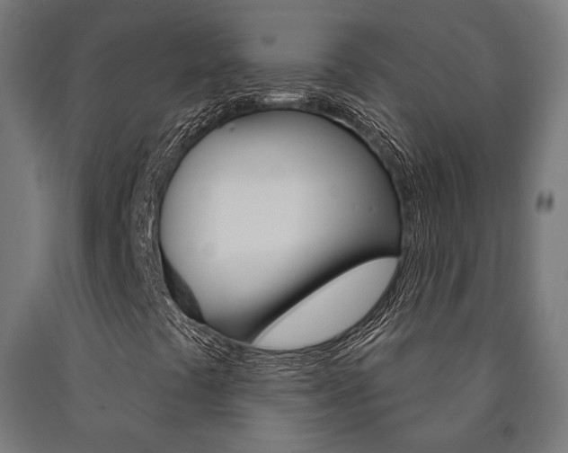 X0000091001441200708021215
