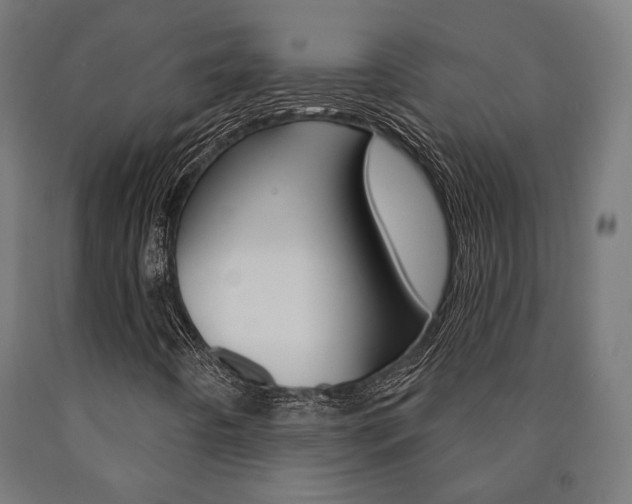 X0000091001442200708021215