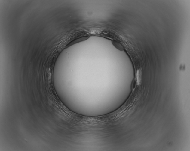 X0000091001443200708021215