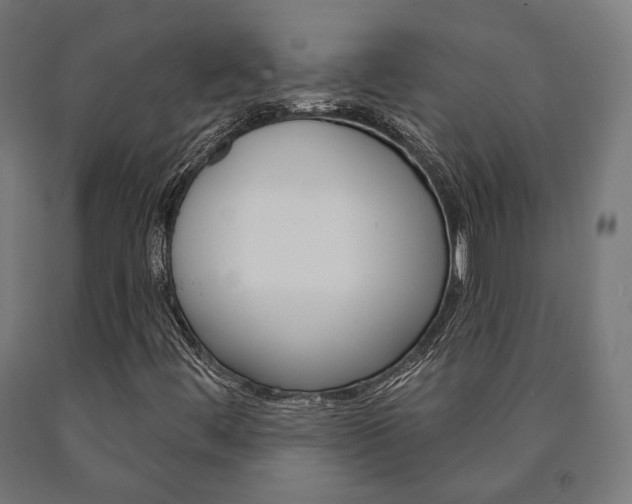 X0000091001444200708021215