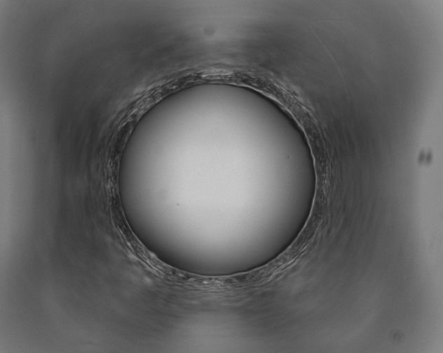 X0000091001445200708021215