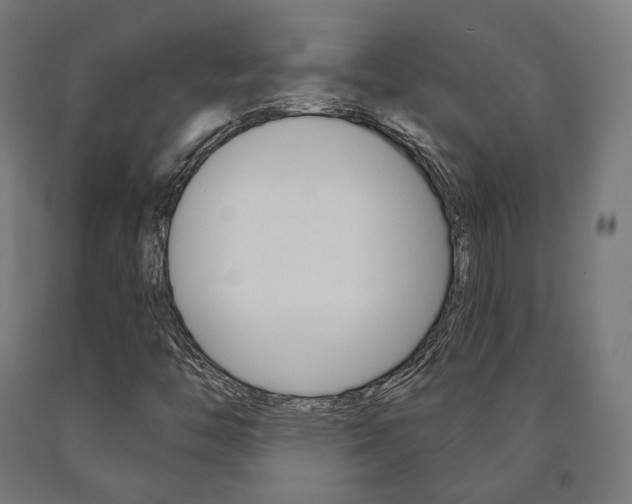 X0000091001446200708021215