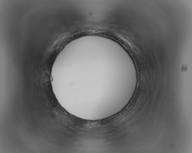 X0000091001447200708021215