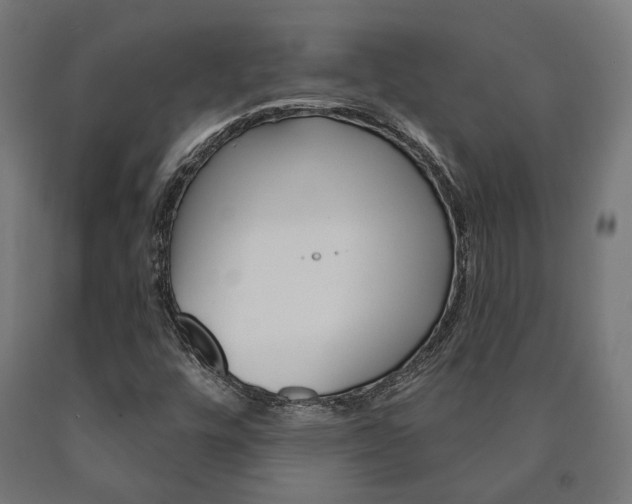 X0000091001448200708021215