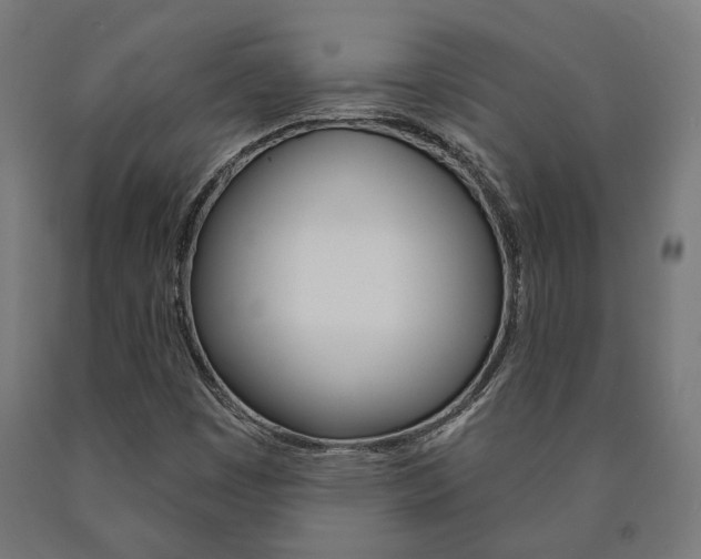 X0000091001449200708021215