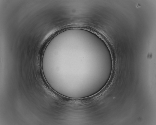 X0000091001450200708021215