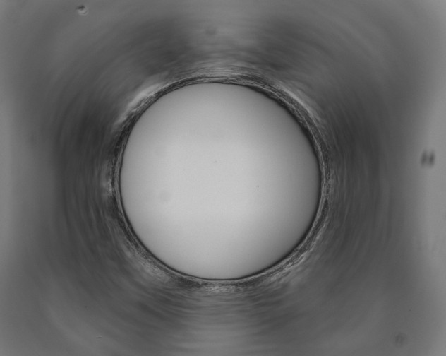 X0000091001451200708021215