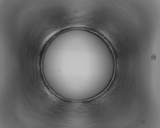 X0000091001452200708021215