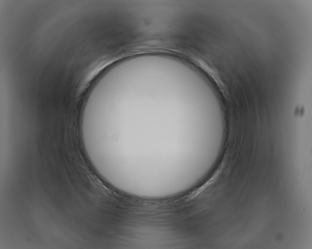 X0000091001453200708021215