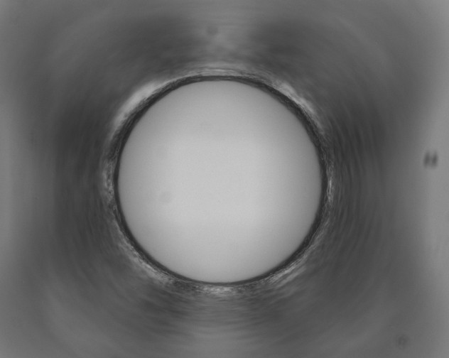 X0000091001454200708021215