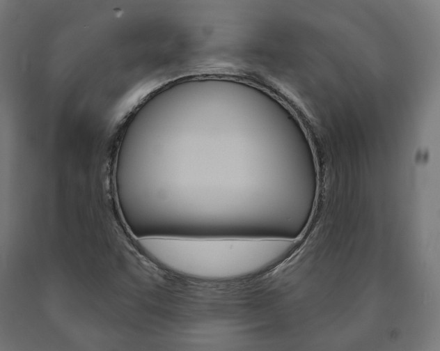 X0000091001455200708021215