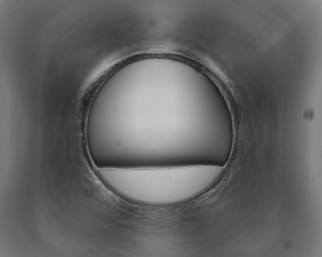 X0000091001456200708021215