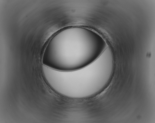X0000091001457200708021215