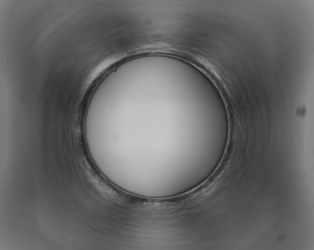 X0000091001458200708021215