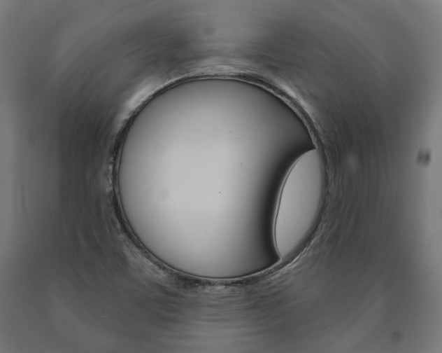 X0000091001459200708021215