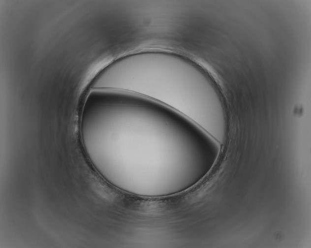 X0000091001461200708021215