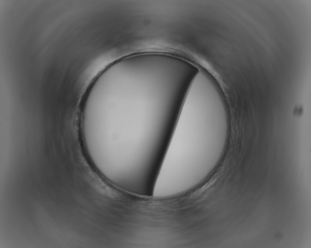 X0000091001463200708021215