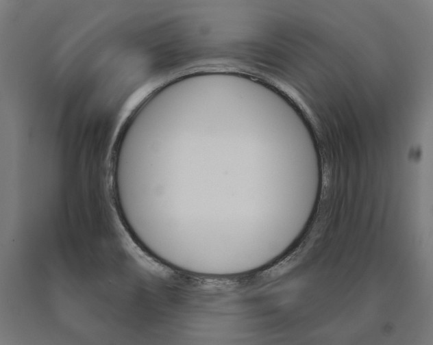 X0000091001466200708021215