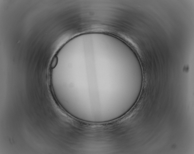 X0000091001467200708021215