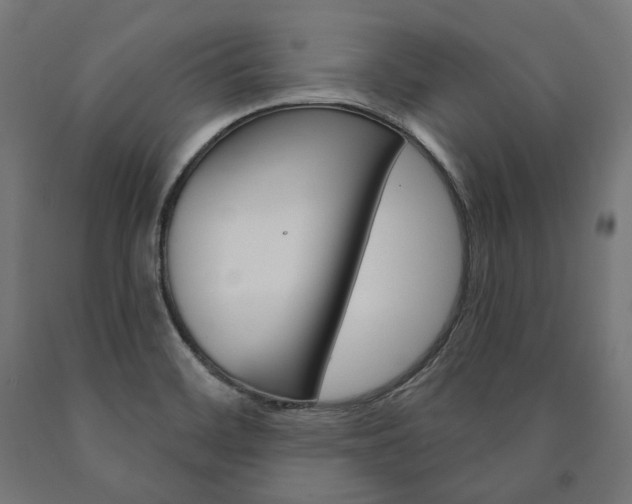 X0000091001468200708021215