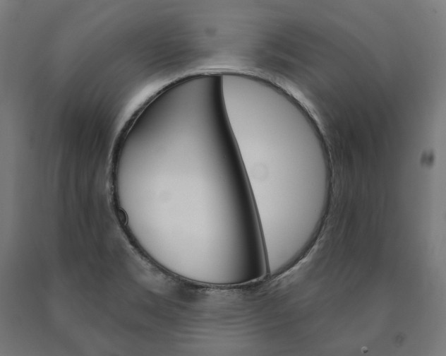X0000091001469200708021215