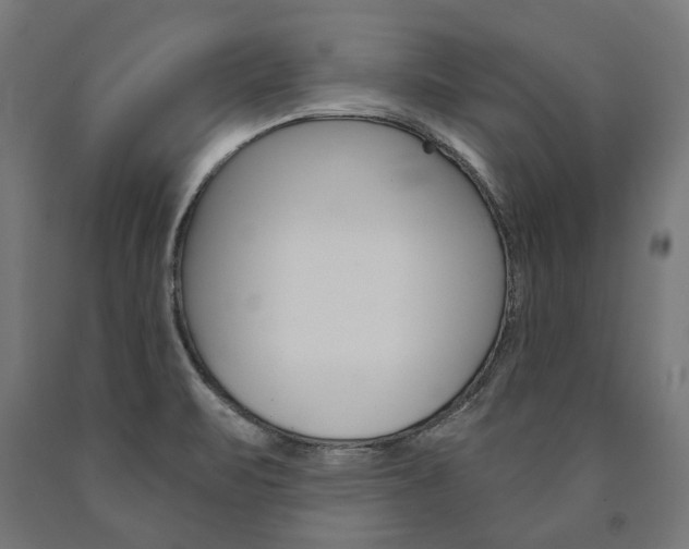 X0000091001471200708021215