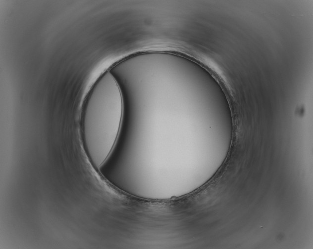 X0000091001472200708021214