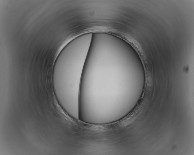 X0000091001473200708021214