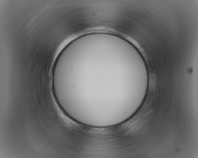 X0000091001474200708021214