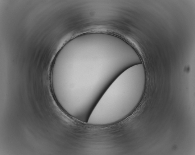 X0000091001475200708021214