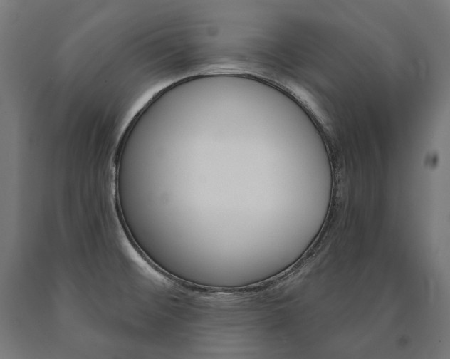 X0000091001476200708021214