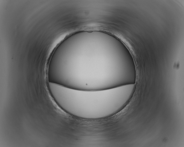 X0000091001477200708021214