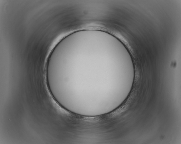 X0000091001478200708021214