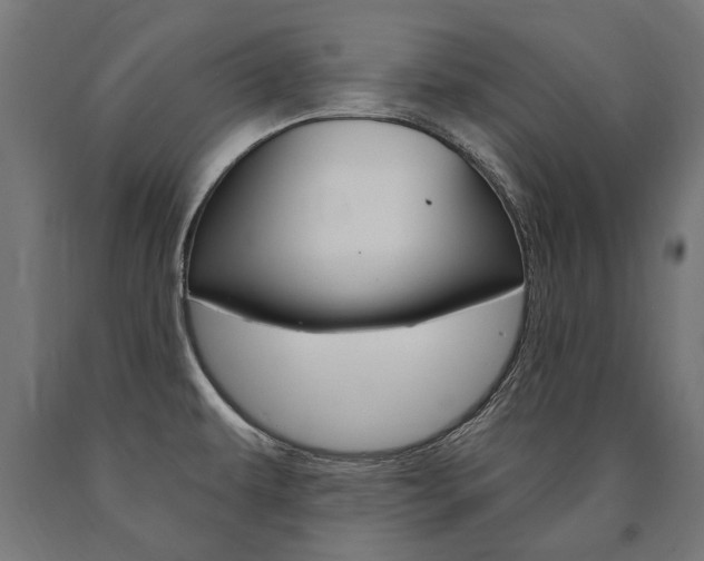 X0000091001479200708021214