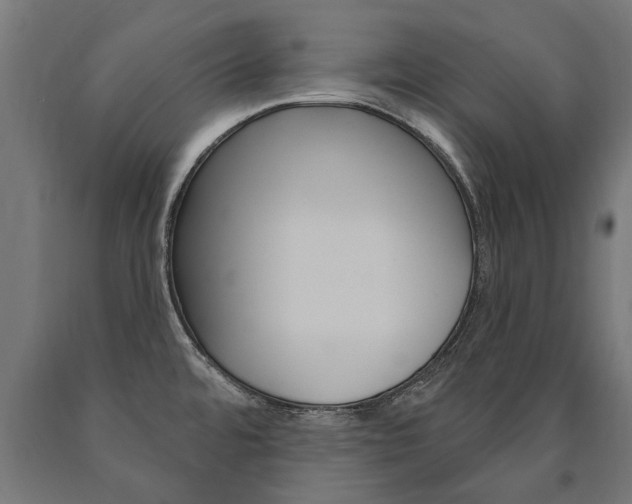 X0000091001480200708021214