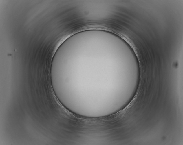 X0000091001481200708021214