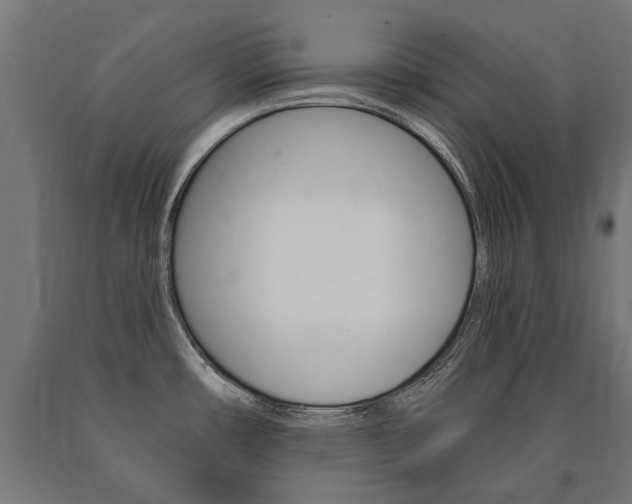 X0000091001482200708021214