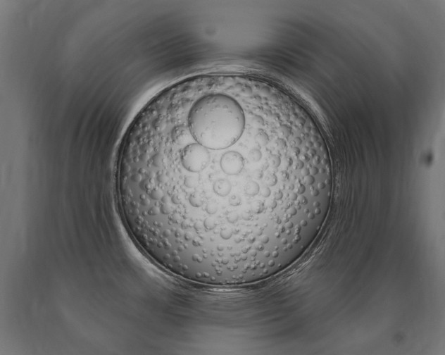 X0000091001483200708021214