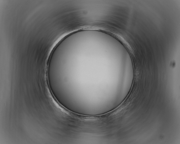 X0000091001484200708021214