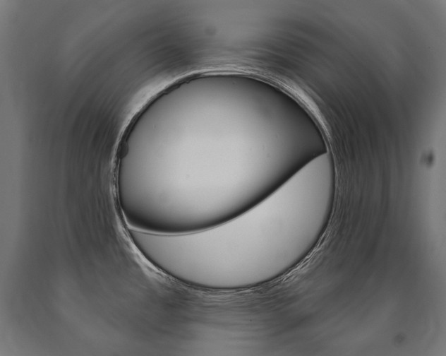 X0000091001485200708021214