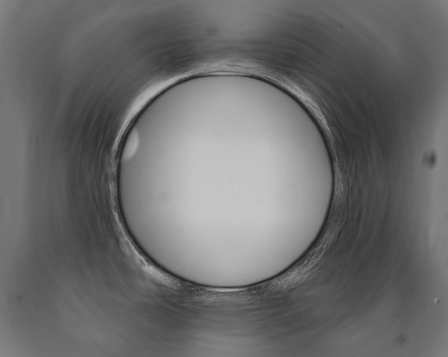 X0000091001486200708021214