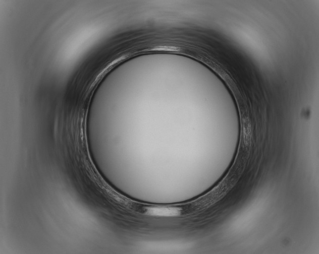 X0000091001487200708021214