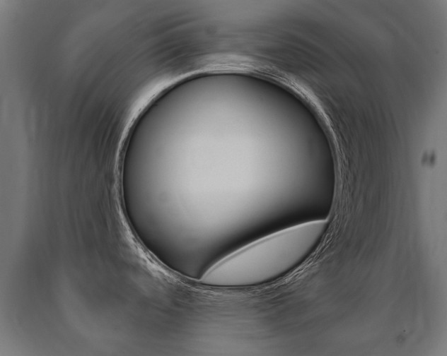 X0000091001488200708021214